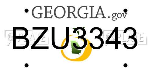 BZU3343 Georgia License Plate