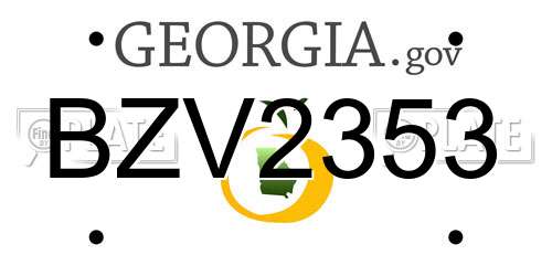 BZV2353 Georgia License Plate