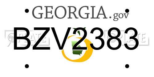BZV2383 Georgia License Plate
