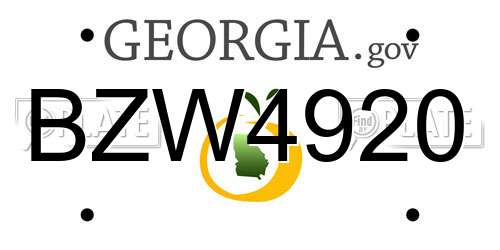 BZW4920 Georgia License Plate