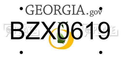 BZX0619 Georgia License Plate