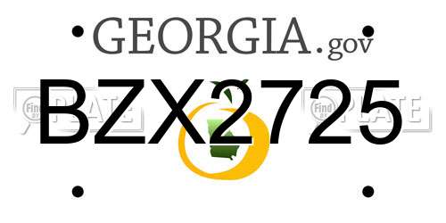 BZX2725 Georgia License Plate