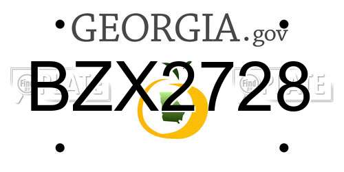 BZX2728 Georgia License Plate