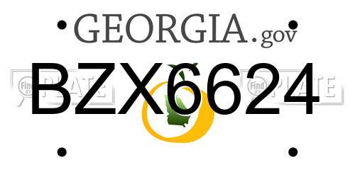 BZX6624 Georgia License Plate