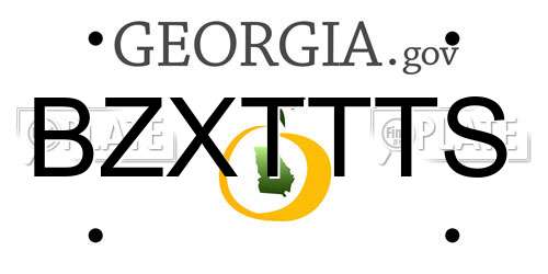 BZXTTTS Georgia License Plate