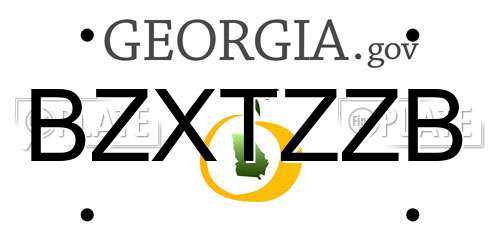 BZXTZZB Georgia License Plate