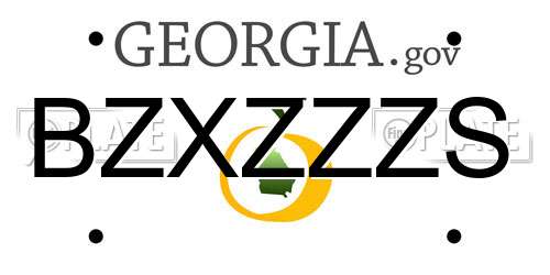 BZXZZZS Georgia License Plate