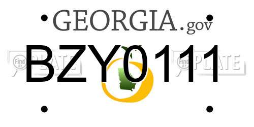 BZY0111 Georgia License Plate