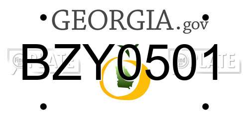 BZY0501 Georgia License Plate