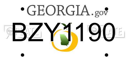 BZY1190 Georgia License Plate