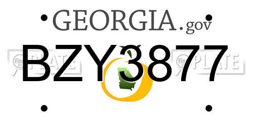 BZY3877 Georgia License Plate