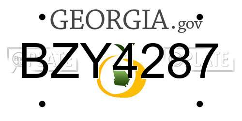 BZY4287 Georgia License Plate