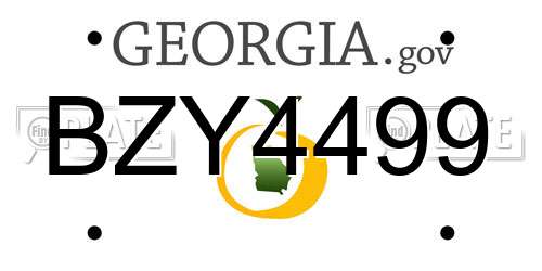 BZY4499 Georgia License Plate