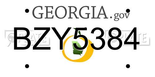 BZY5384 Georgia License Plate