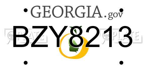 BZY8213 Georgia License Plate