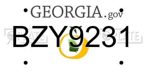 BZY9231 Georgia License Plate