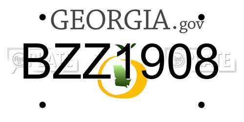 BZZ1908 Georgia License Plate