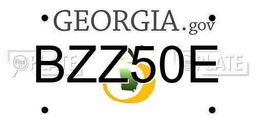 BZZ50E Georgia License Plate
