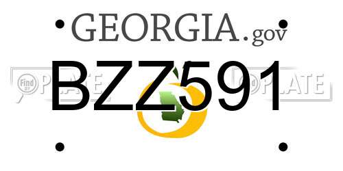 BZZ591 Georgia License Plate