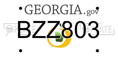 BZZ803 Georgia License Plate