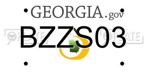 BZZS03 Georgia License Plate