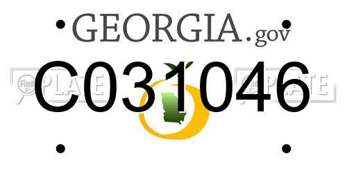 C031046 Georgia License Plate