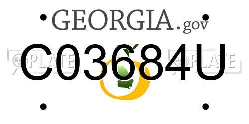 C03684U Georgia License Plate