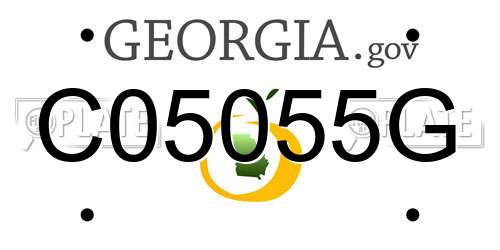 C05055G Georgia License Plate