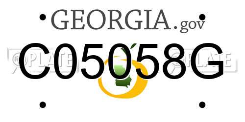 C05058G Georgia License Plate