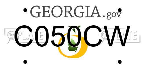 C050CW Georgia License Plate