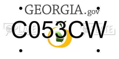 C053CW Georgia License Plate