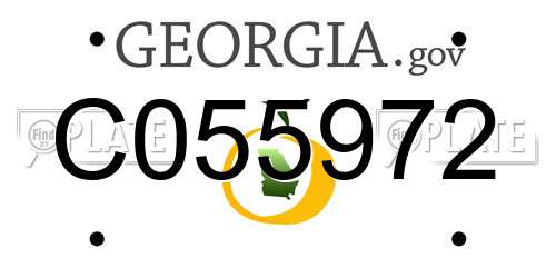 C055972 Georgia License Plate