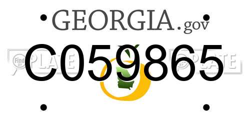 C059865 Georgia License Plate