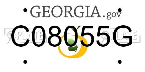 C08055G Georgia License Plate
