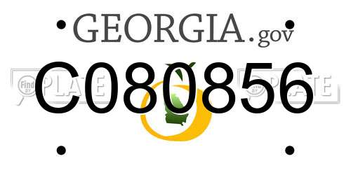 C080856 Georgia License Plate