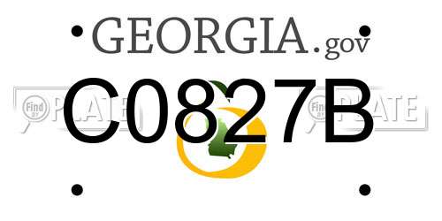 C0827B Georgia License Plate