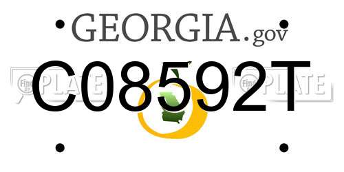 C08592T Georgia License Plate