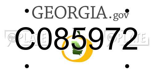 C085972 Georgia License Plate