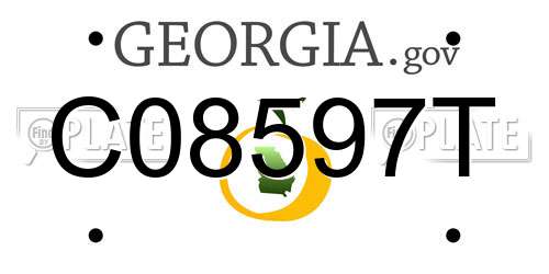 C08597T Georgia License Plate