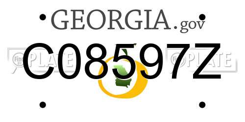 C08597Z Georgia License Plate