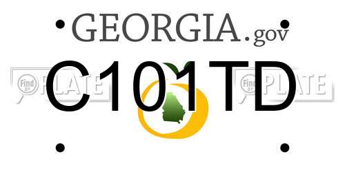 C101TD Georgia License Plate