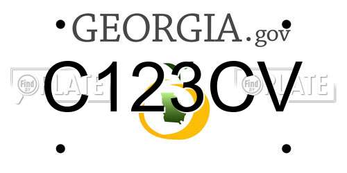 C123CV Georgia License Plate