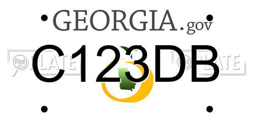 C123DB Georgia License Plate