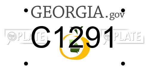 C1291 Georgia License Plate