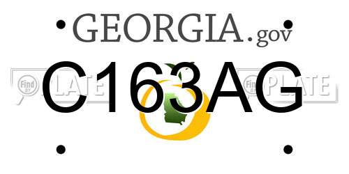 C163AG Georgia License Plate