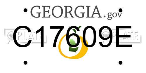 C17609E Georgia License Plate
