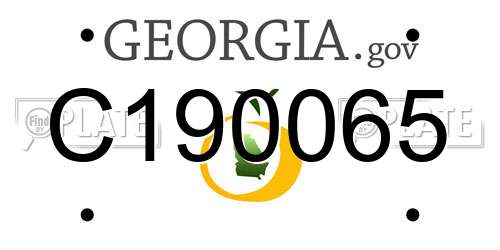 C190065 Georgia License Plate