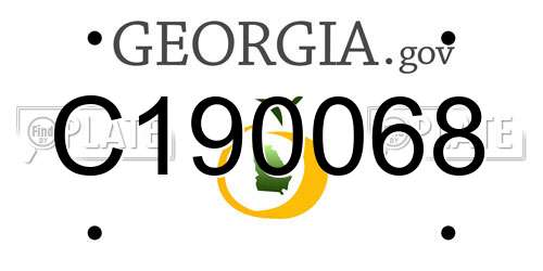 C190068 Georgia License Plate