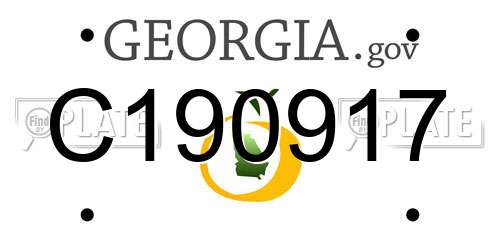 C190917 Georgia License Plate