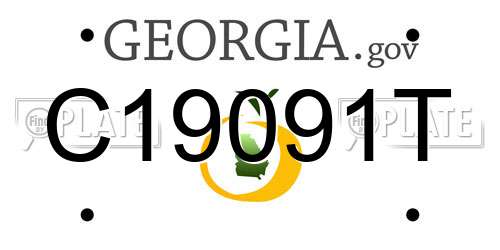 C19091T Georgia License Plate